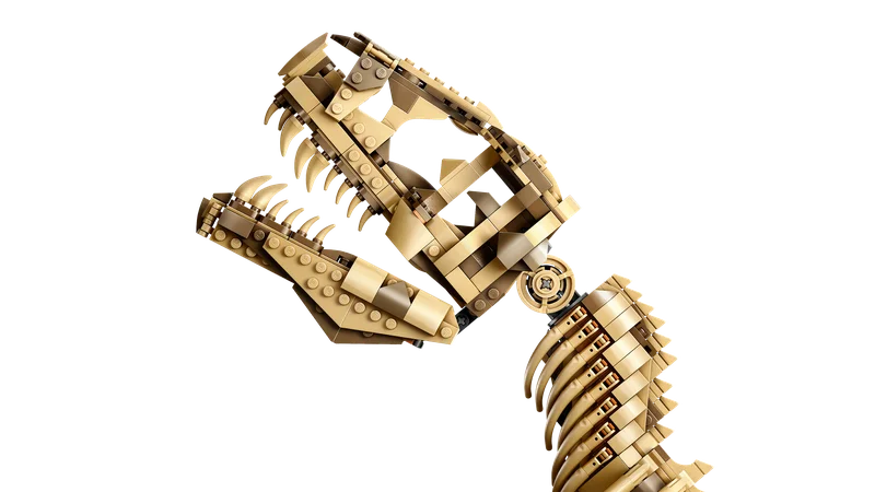 Детали скелета набор LEGO Dinosaur Fossils: Tyrannosaurus rex 76968 спереди