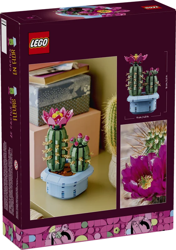Обратная сторона коробки LEGO Цветущий кактус 11509 с деталями набора
