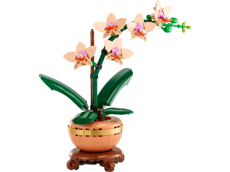 LEGO Mini Orchid 10343 в сборе — пять цветущих цветков и бутоны на деревянной подставке